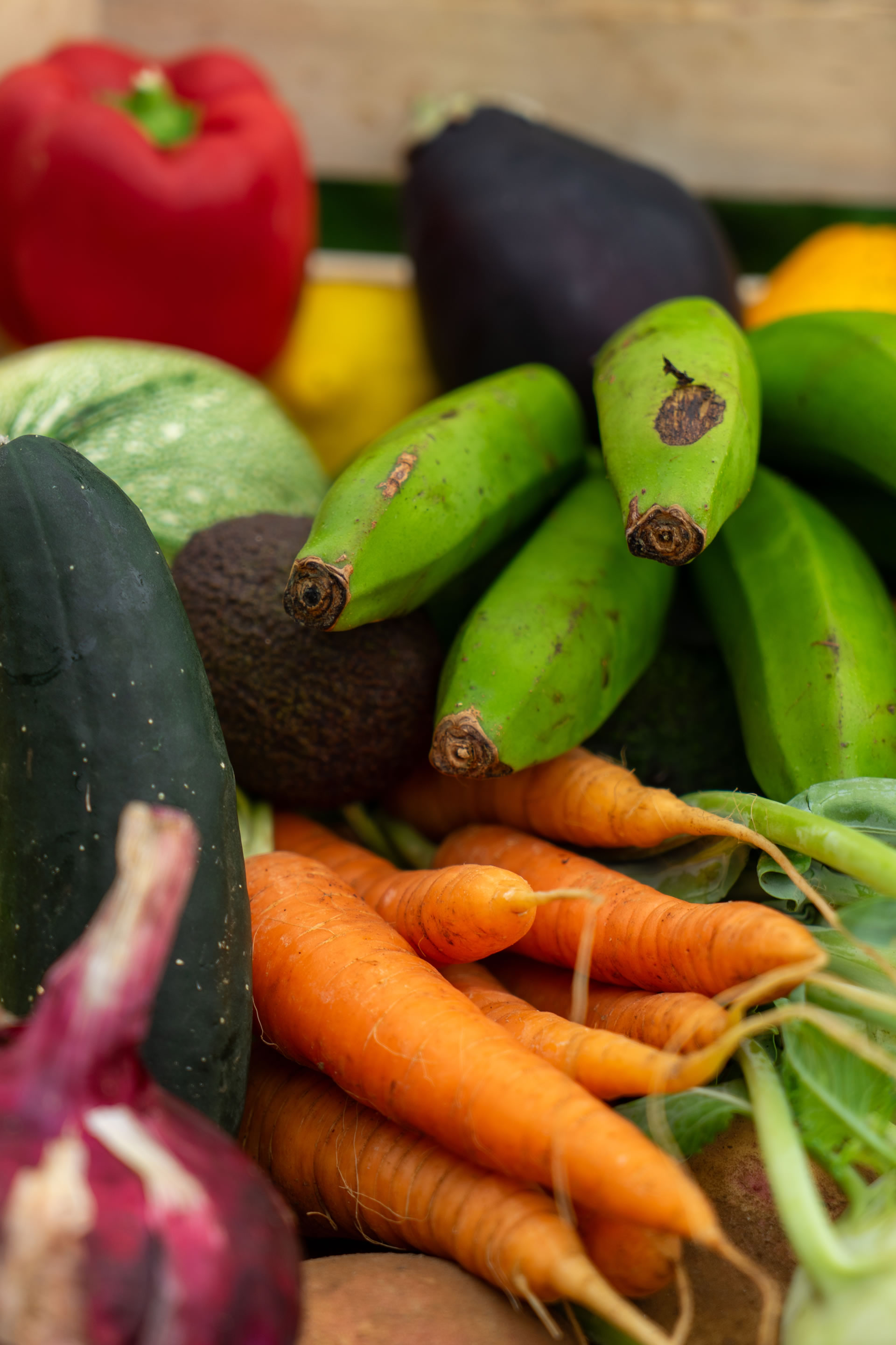 Frische regionale Zutaten auf Teneriffa: Von der Finca direkt auf unser Frühstücksbuffet und in unsere Küche