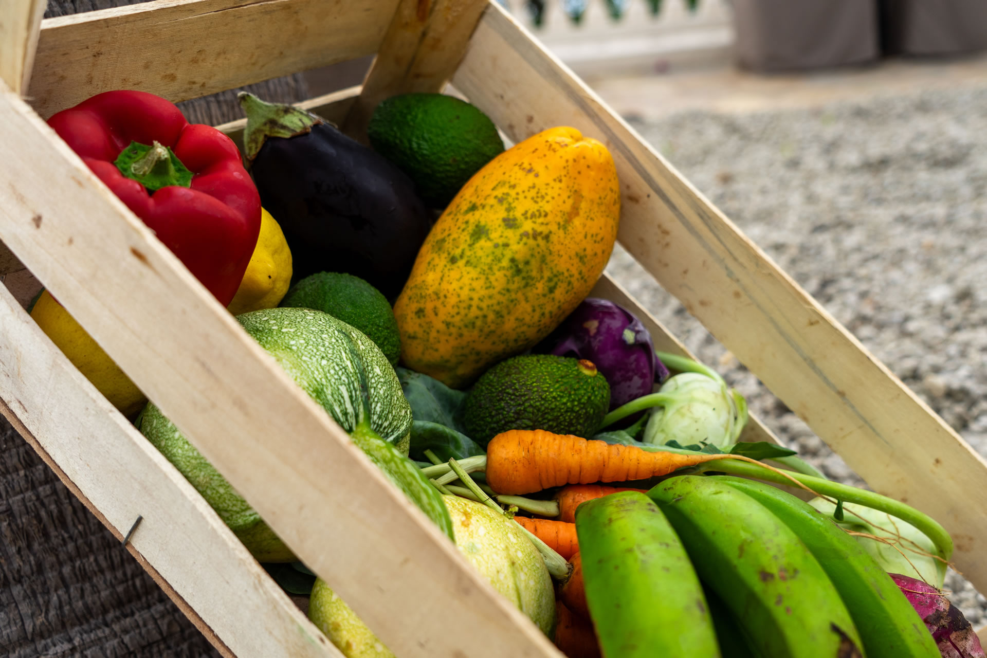 Frische regionale Zutaten auf Teneriffa: Von der Finca direkt auf unser Frühstücksbuffet und in unsere Küche